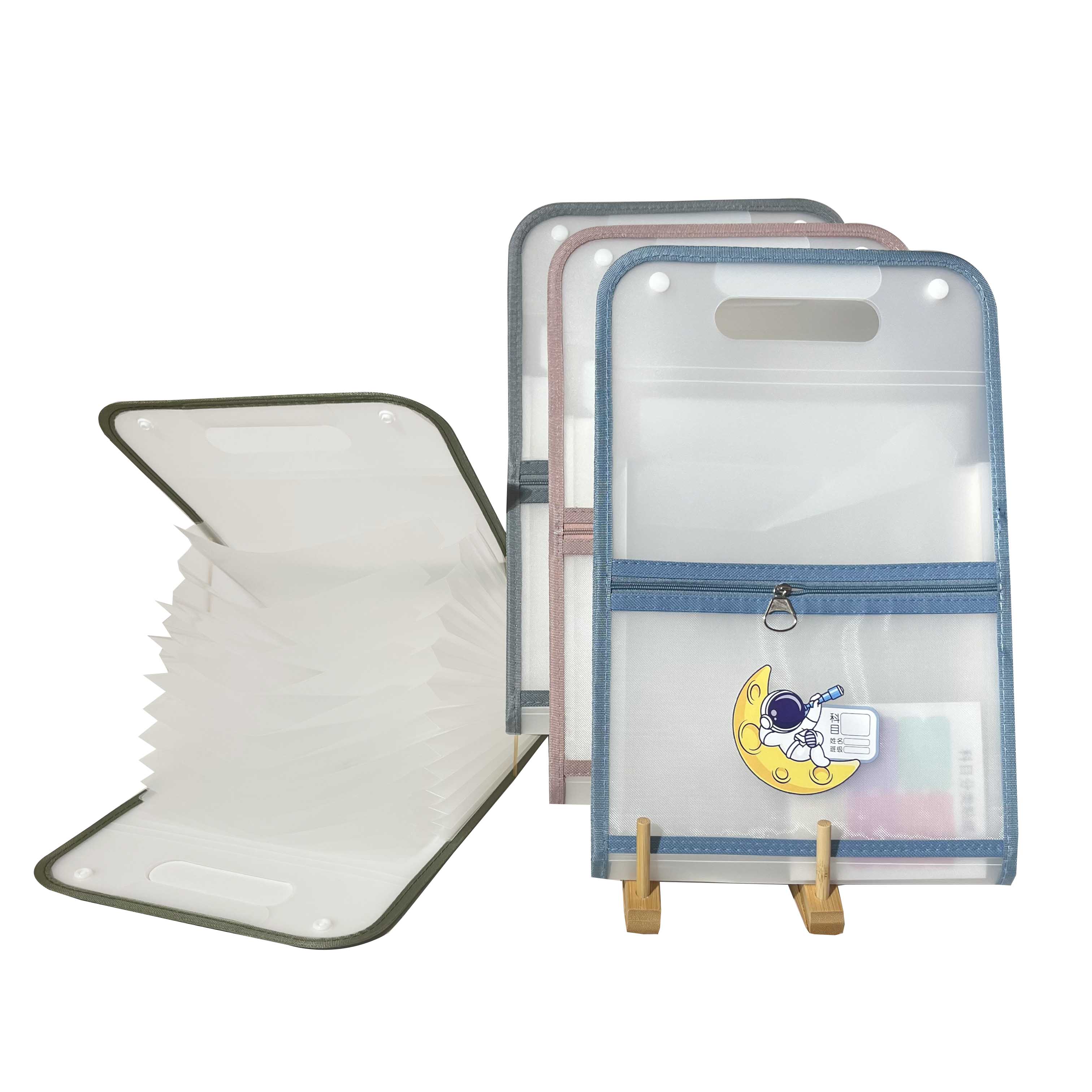 Portable vertical organ bag file bag